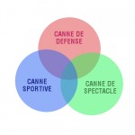 Structure de la pratique de la canne