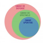 Structure de la pratique de la canne