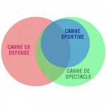 Structure de la pratique de la canne