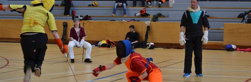 Les Apaches au Bazhata Eg 2015, compétition par équipes de canne de combat