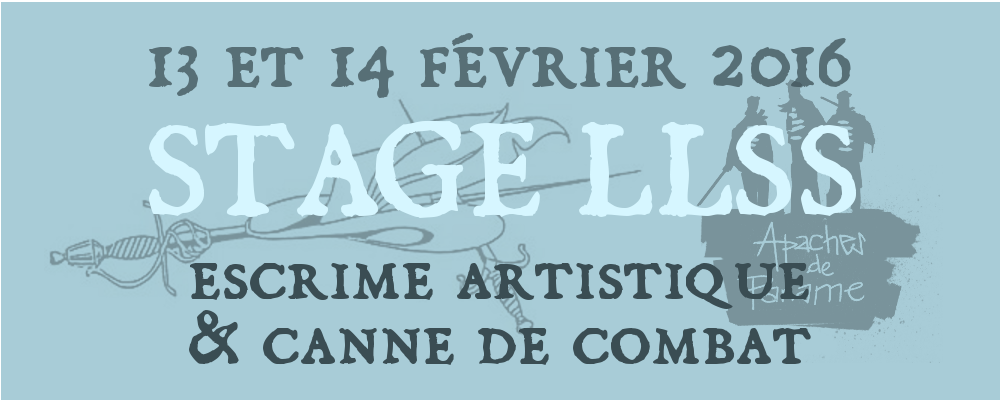 Stage lames sur seine escrime artistique et canne de combat